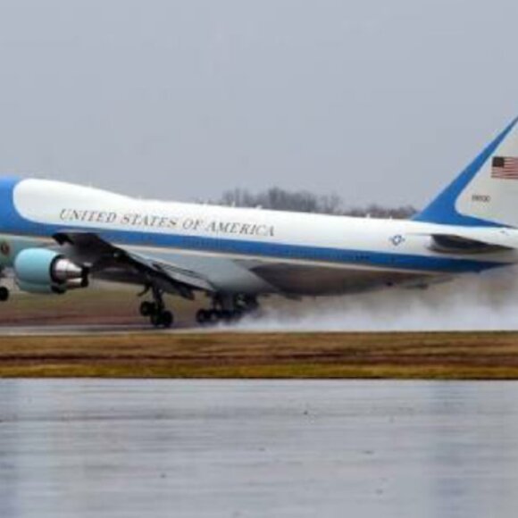 Meet your Posher, William - Picture 8 of 16